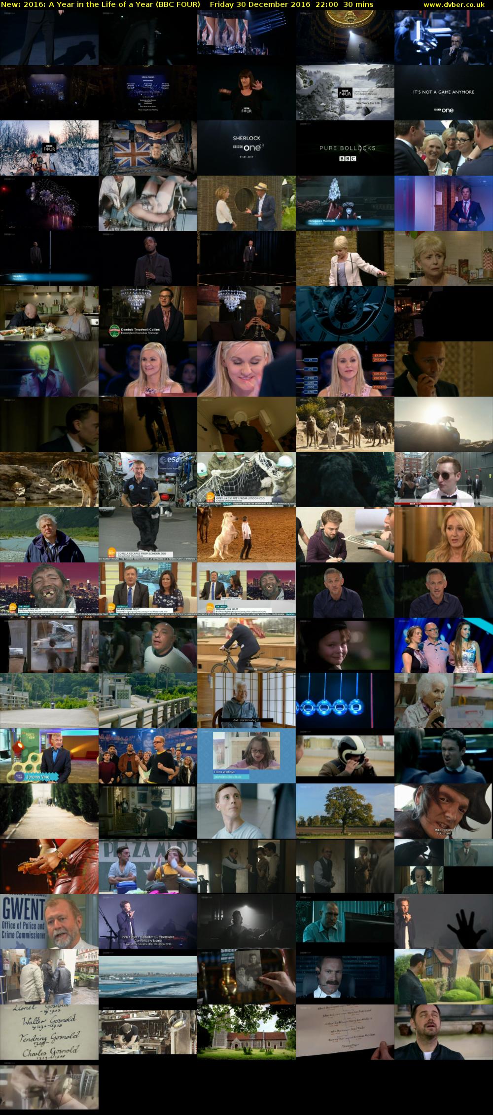 2016: A Year in the Life of a Year (BBC FOUR) Friday 30 December 2016 22:00 - 22:30