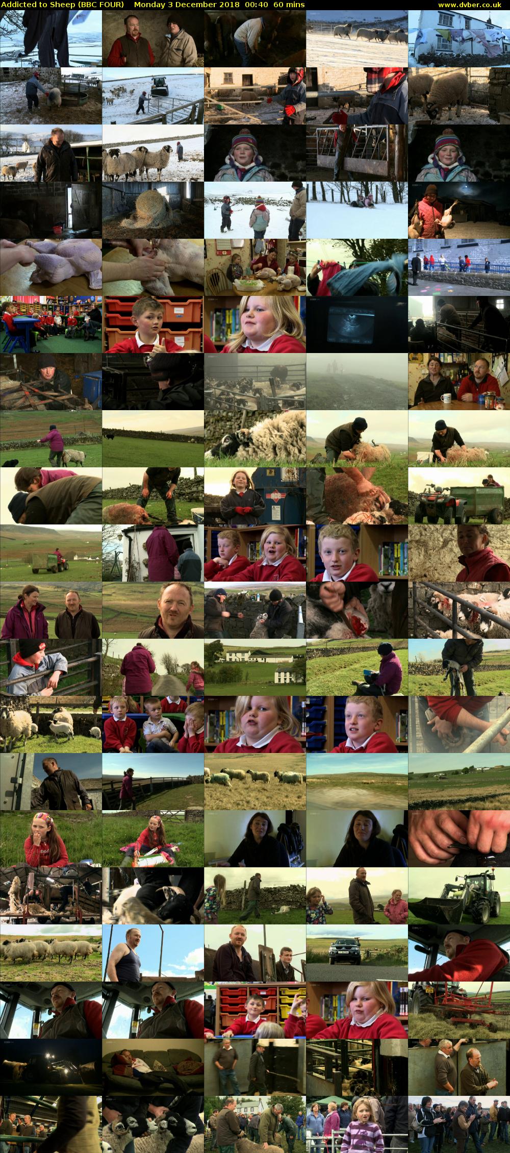 Addicted to Sheep (BBC FOUR) Monday 3 December 2018 00:40 - 01:40