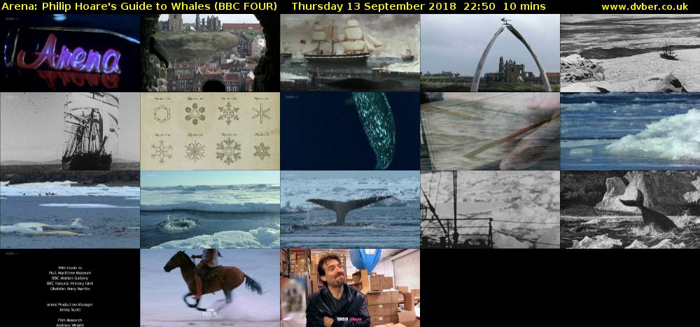 Arena: Philip Hoare's Guide to Whales (BBC FOUR) Thursday 13 September 2018 22:50 - 23:00