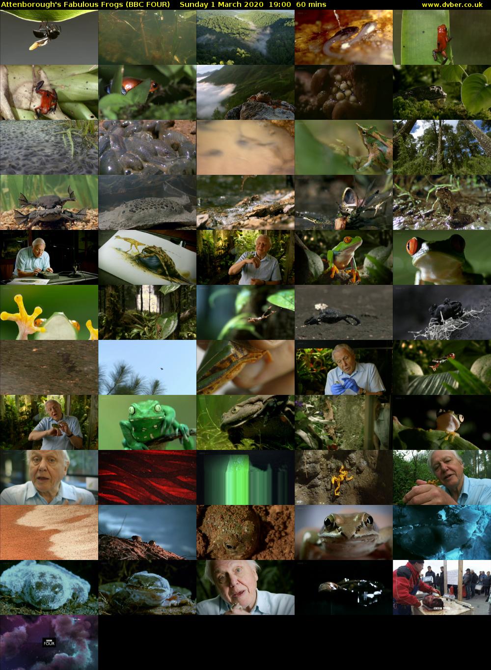 Attenborough's Fabulous Frogs (BBC FOUR) Sunday 1 March 2020 19:00 - 20:00