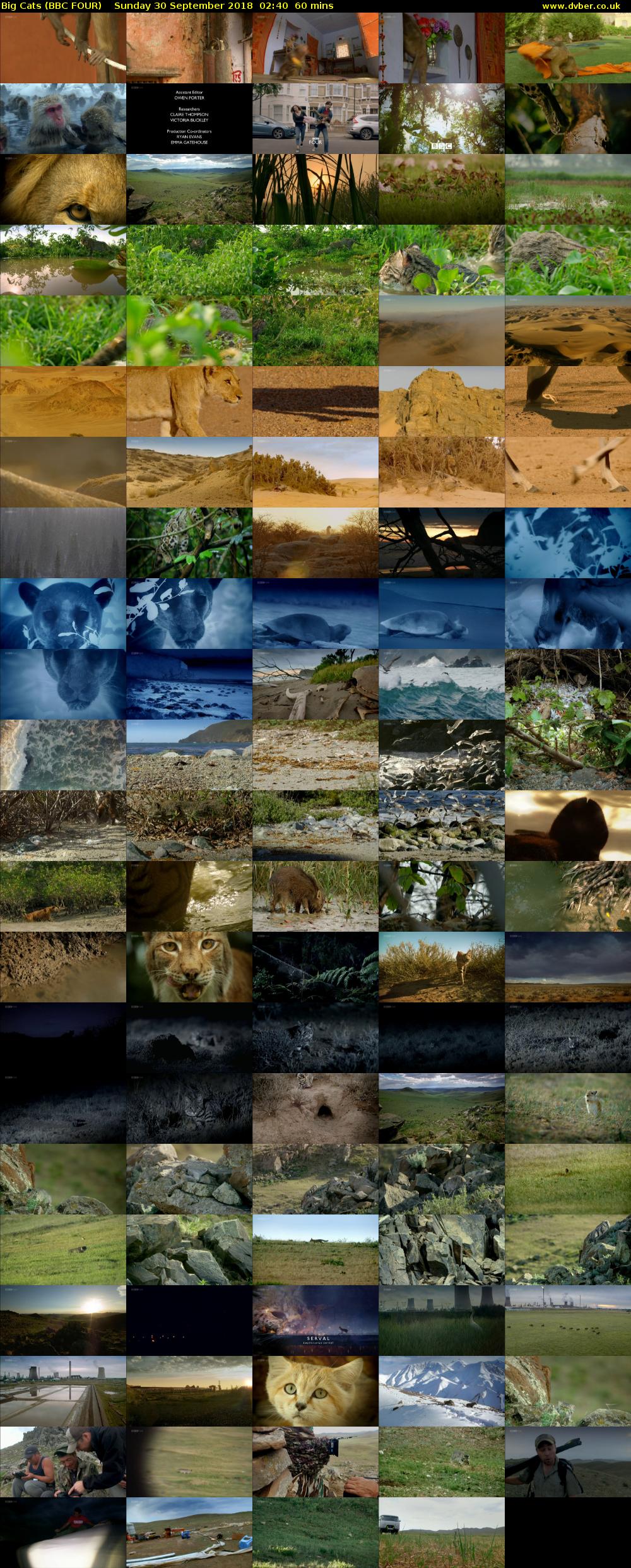Big Cats (BBC FOUR) Sunday 30 September 2018 02:40 - 03:40