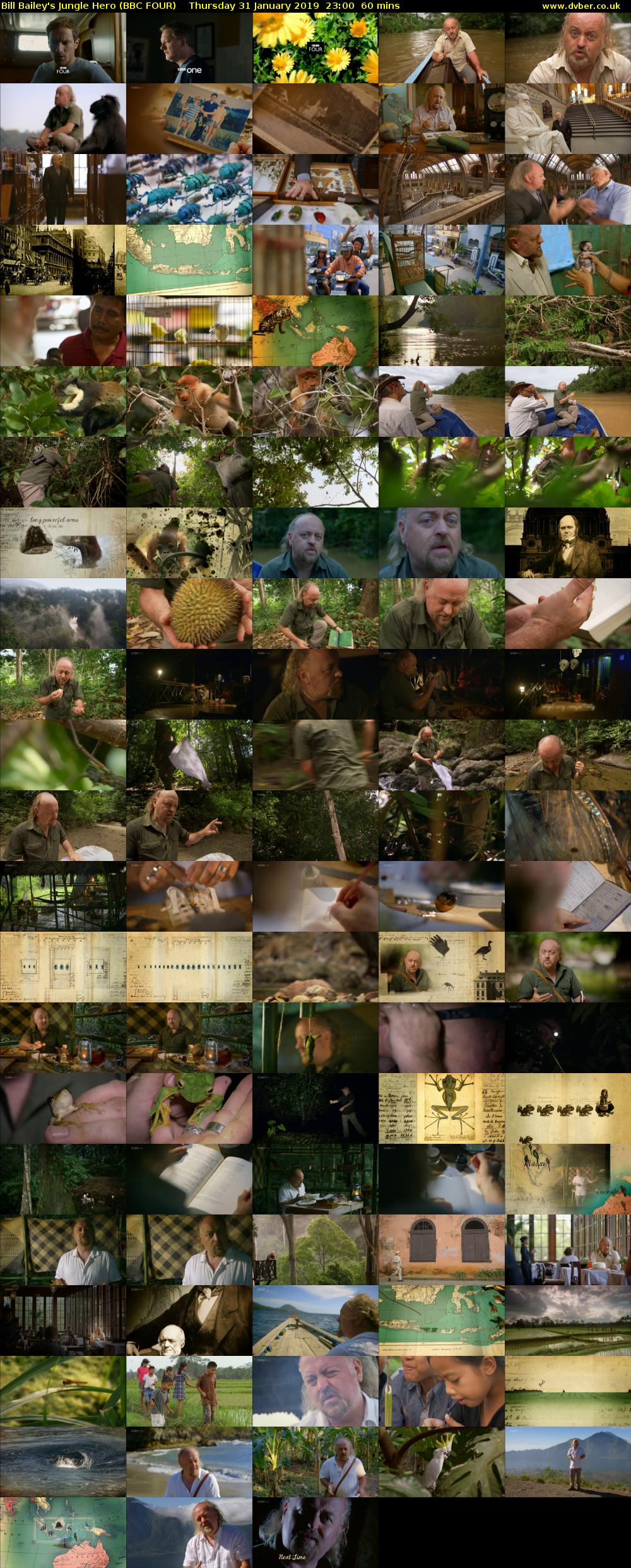 Bill Bailey's Jungle Hero (BBC FOUR) Thursday 31 January 2019 23:00 - 00:00