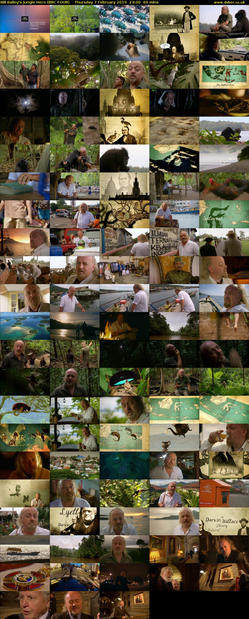 Bill Bailey's Jungle Hero (BBC FOUR) Thursday 7 February 2019 23:00 - 00:00