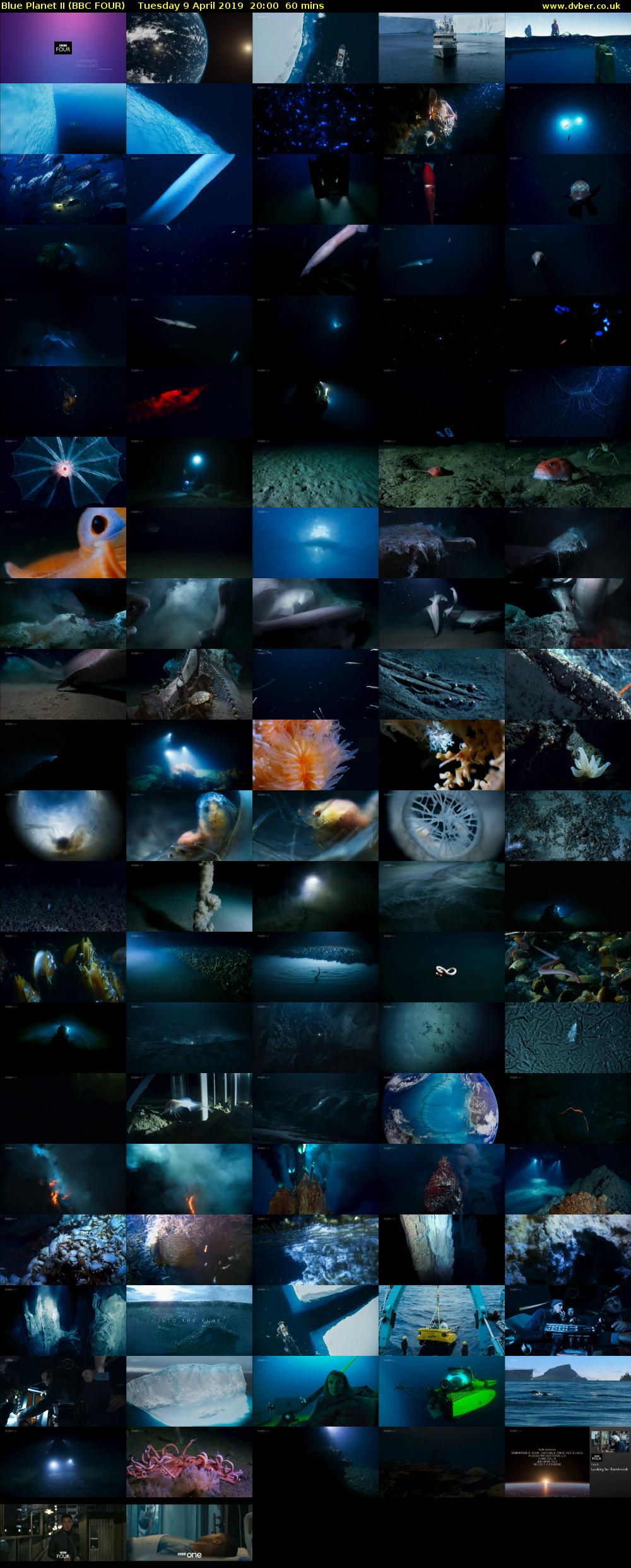 Blue Planet II (BBC FOUR) Tuesday 9 April 2019 20:00 - 21:00