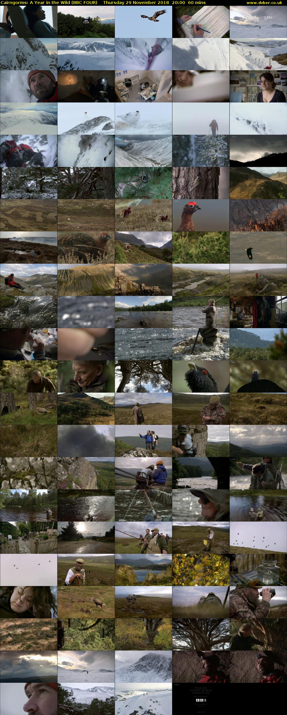 Cairngorms: A Year in the Wild (BBC FOUR) Thursday 29 November 2018 20:00 - 21:00