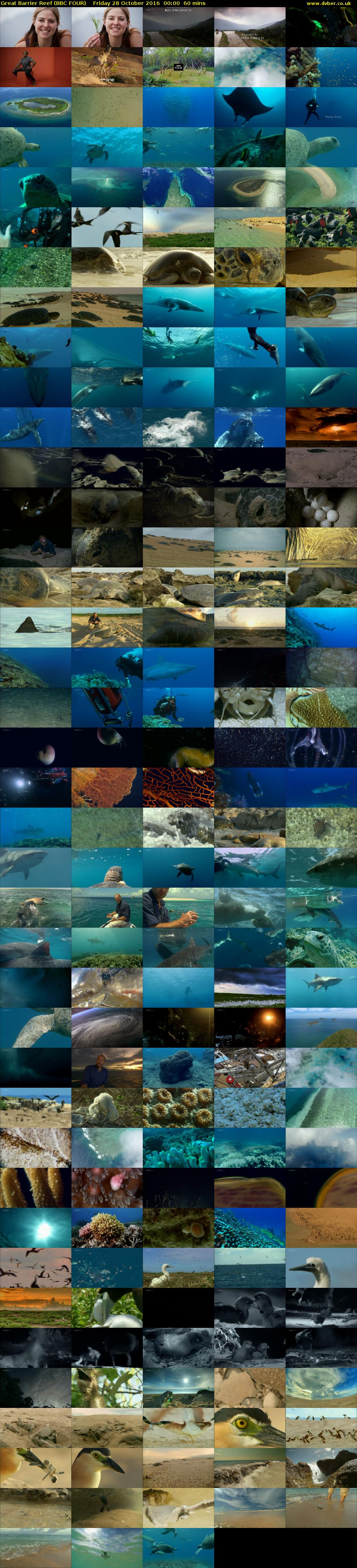 Great Barrier Reef (BBC FOUR) Friday 28 October 2016 00:00 - 01:00