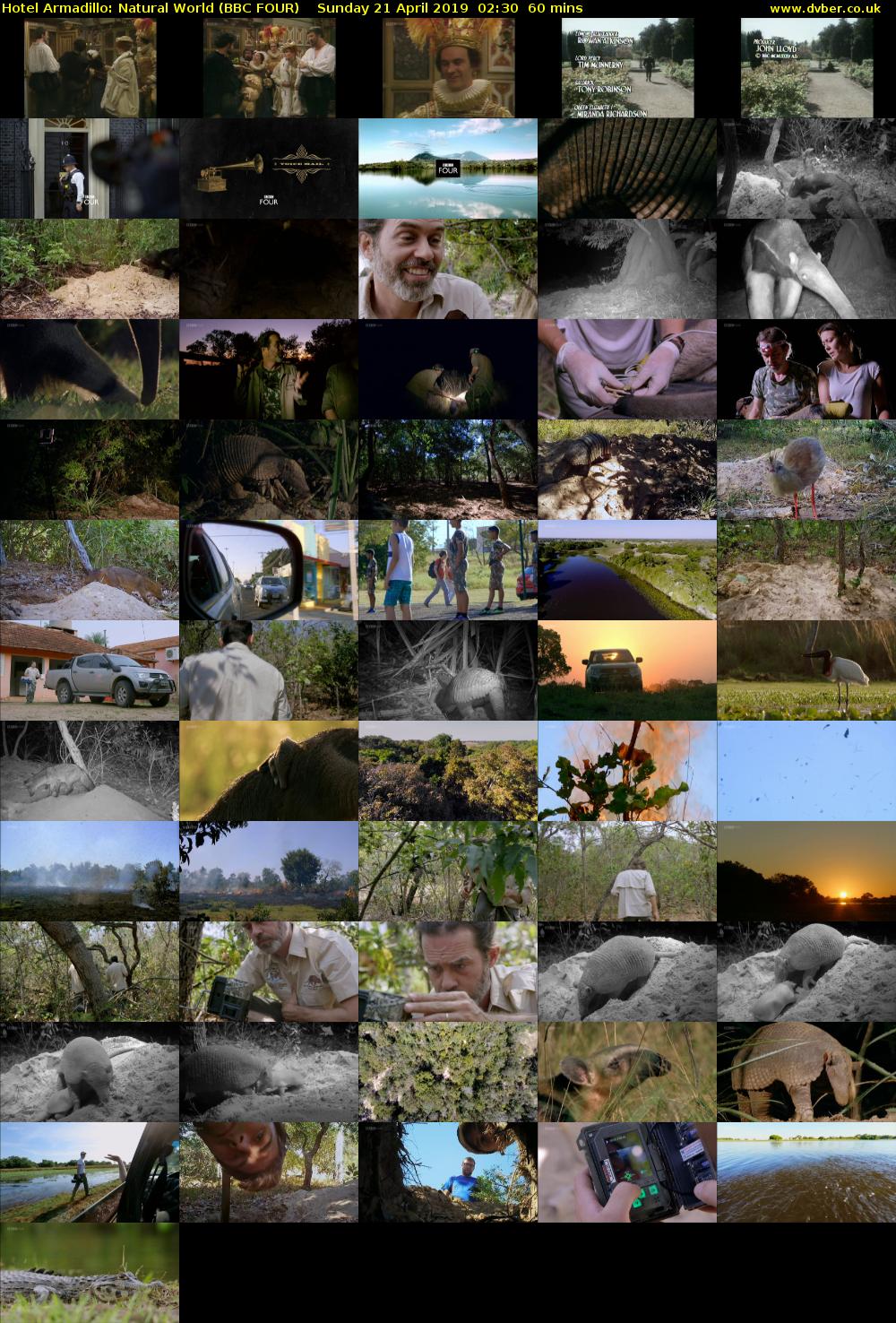 Hotel Armadillo: Natural World (BBC FOUR) Sunday 21 April 2019 02:30 - 03:30