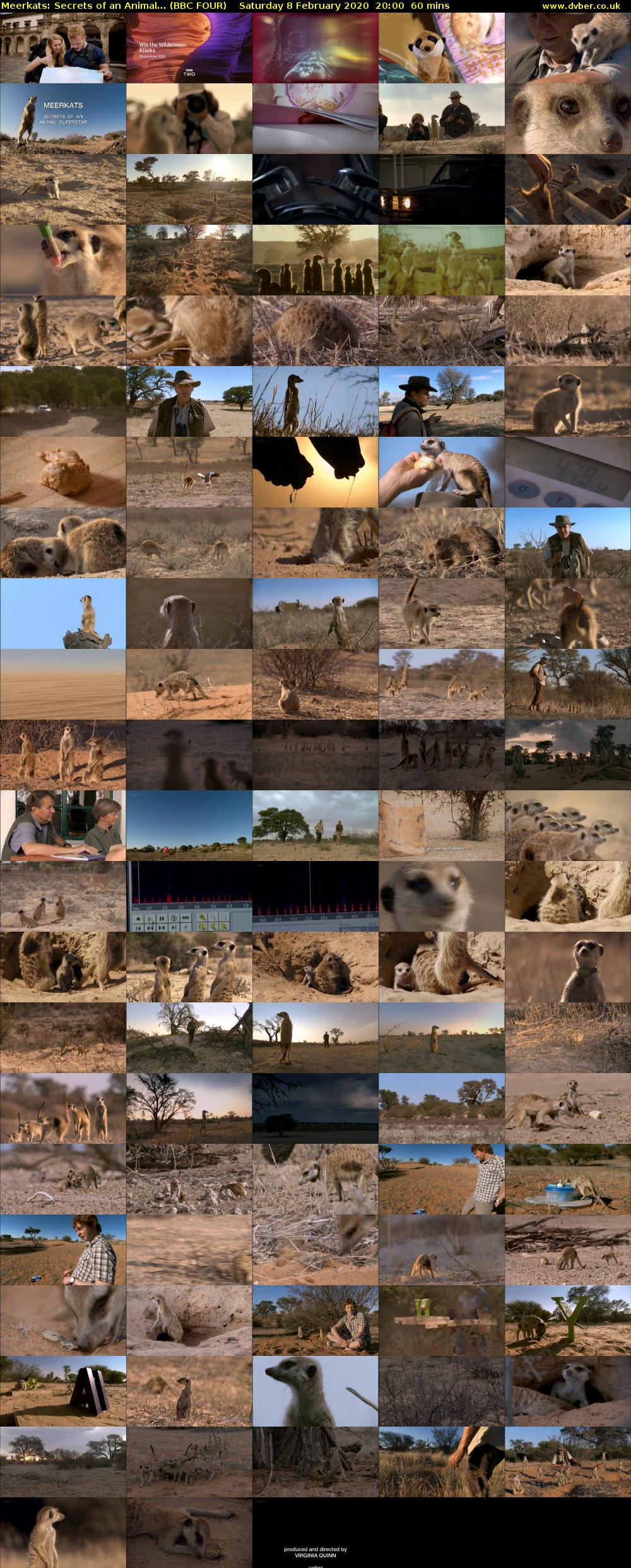 Meerkats: Secrets of an Animal... (BBC FOUR) Saturday 8 February 2020 20:00 - 21:00