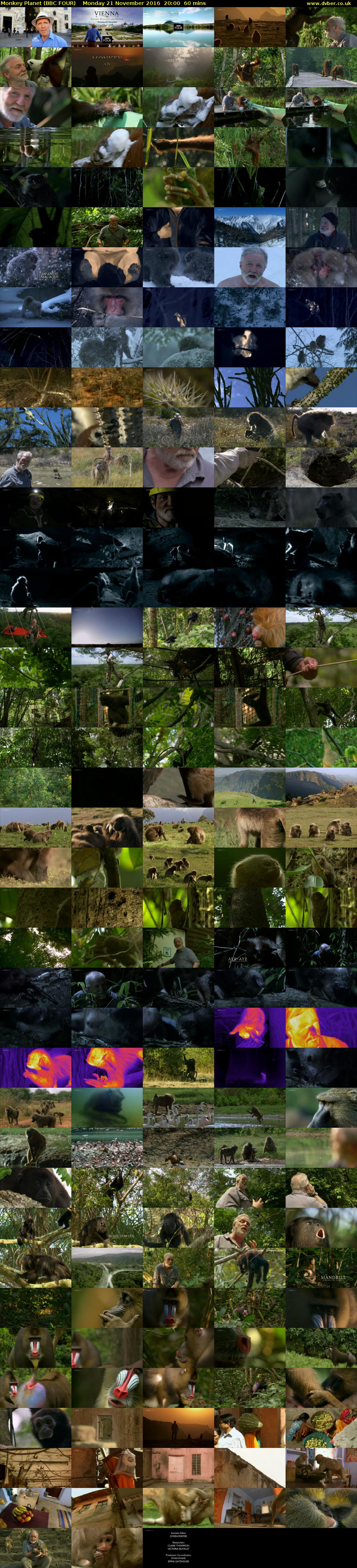 Monkey Planet (BBC FOUR) Monday 21 November 2016 20:00 - 21:00