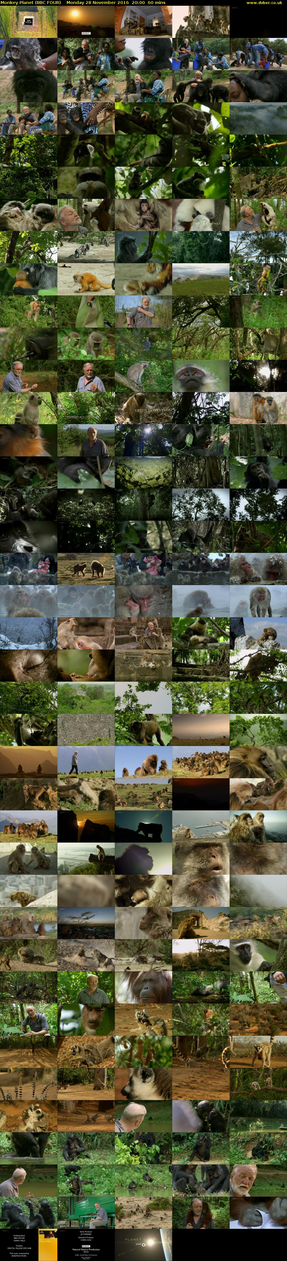 Monkey Planet (BBC FOUR) Monday 28 November 2016 20:00 - 21:00
