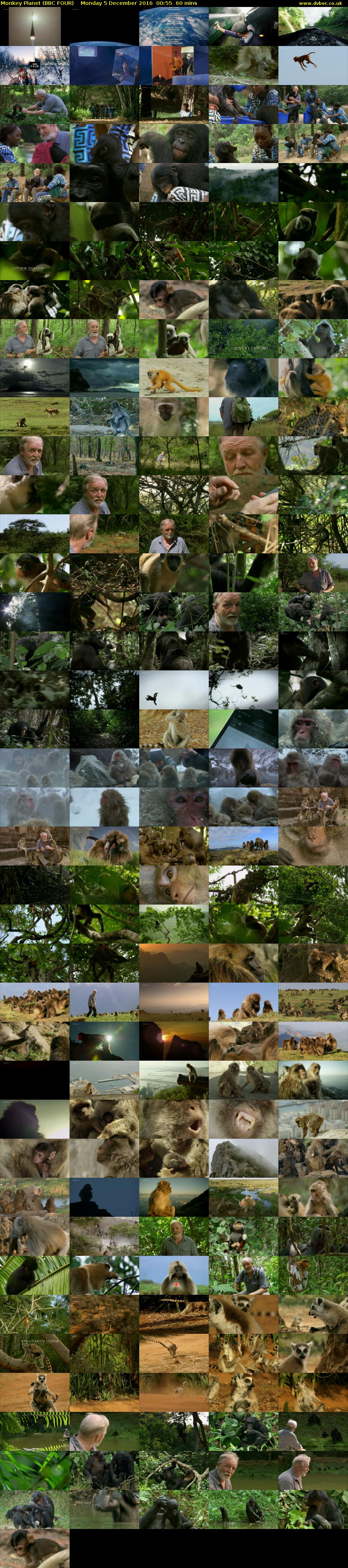 Monkey Planet (BBC FOUR) Monday 5 December 2016 00:55 - 01:55