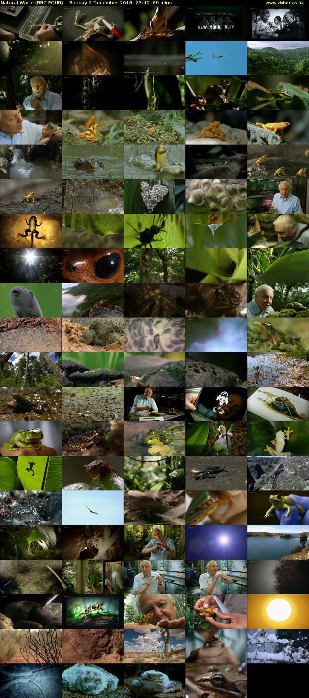 Natural World (BBC FOUR) Sunday 2 December 2018 23:40 - 00:40