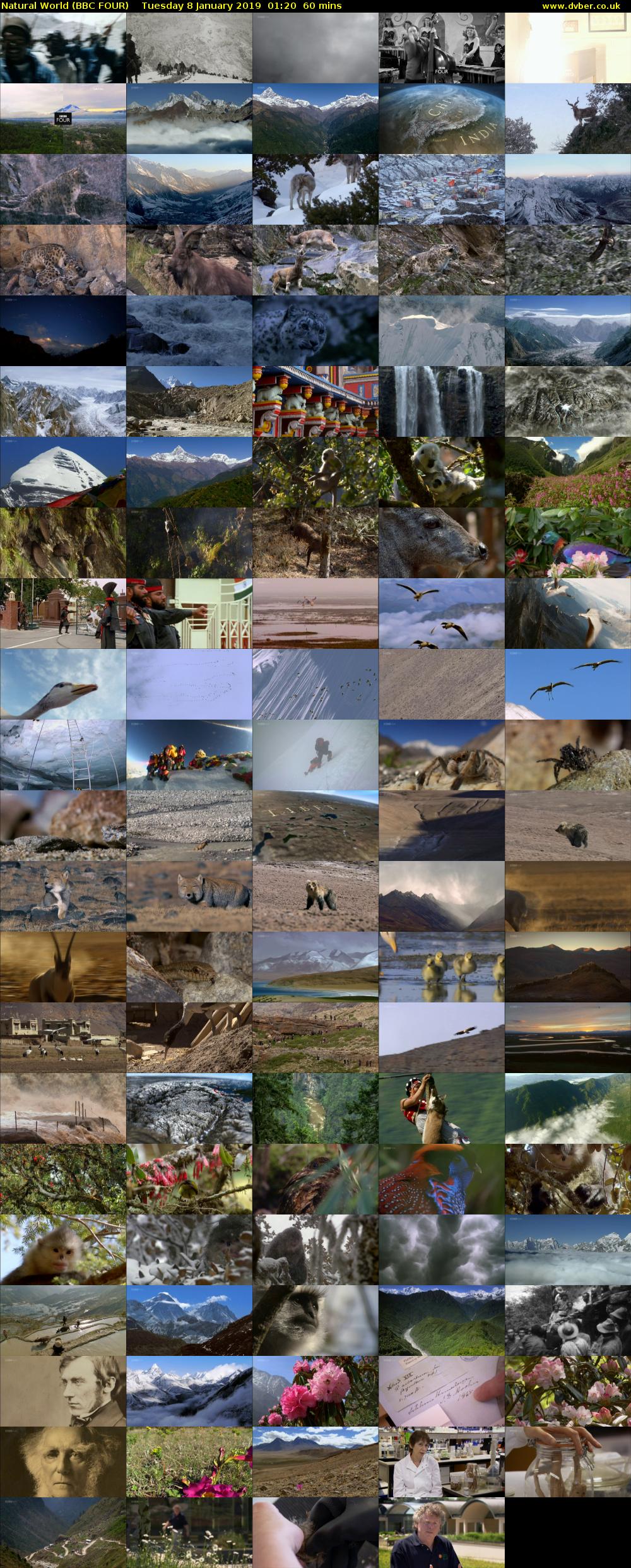 Natural World (BBC FOUR) Tuesday 8 January 2019 01:20 - 02:20