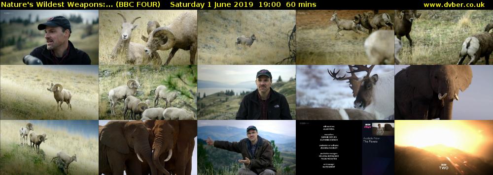 Nature's Wildest Weapons:... (BBC FOUR) Saturday 1 June 2019 19:00 - 20:00