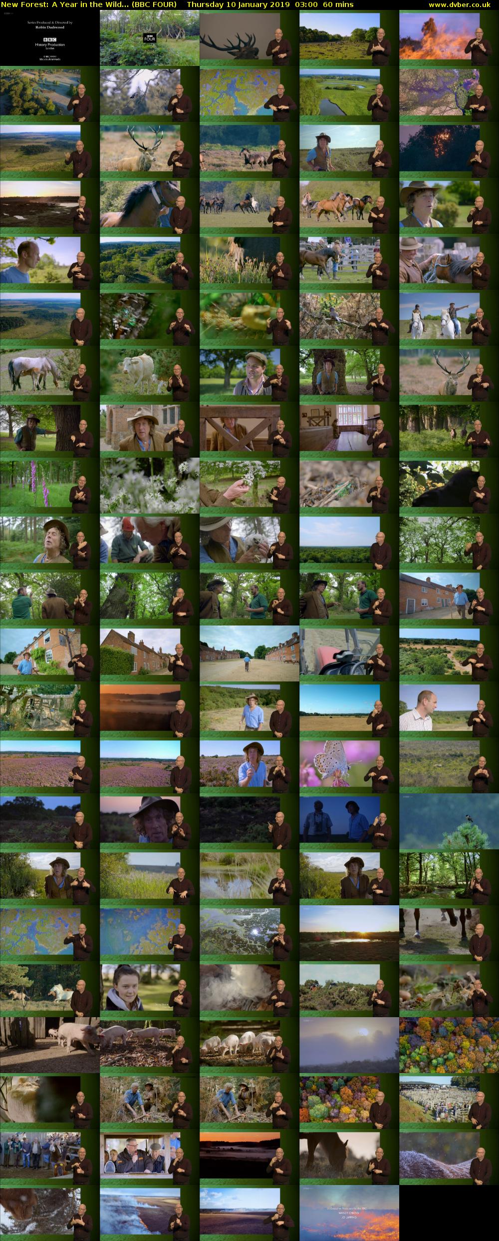 New Forest: A Year in the Wild... (BBC FOUR) Thursday 10 January 2019 03:00 - 04:00