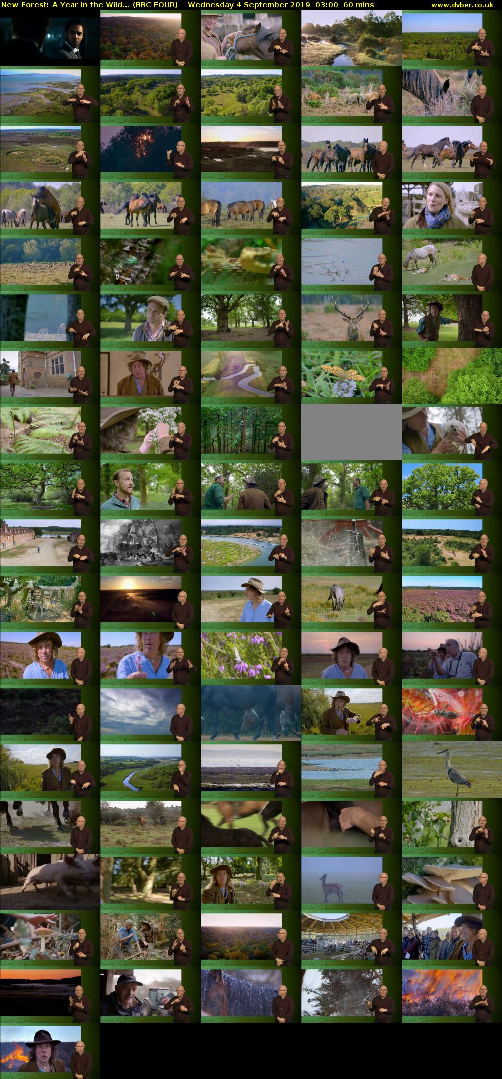New Forest: A Year in the Wild... (BBC FOUR) Wednesday 4 September 2019 03:00 - 04:00