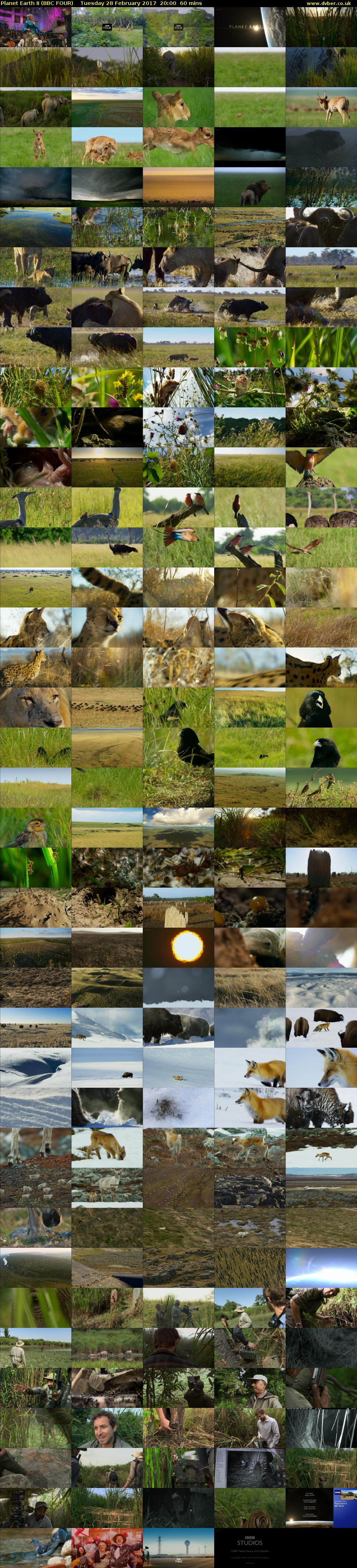 Planet Earth II (BBC FOUR) Tuesday 28 February 2017 20:00 - 21:00
