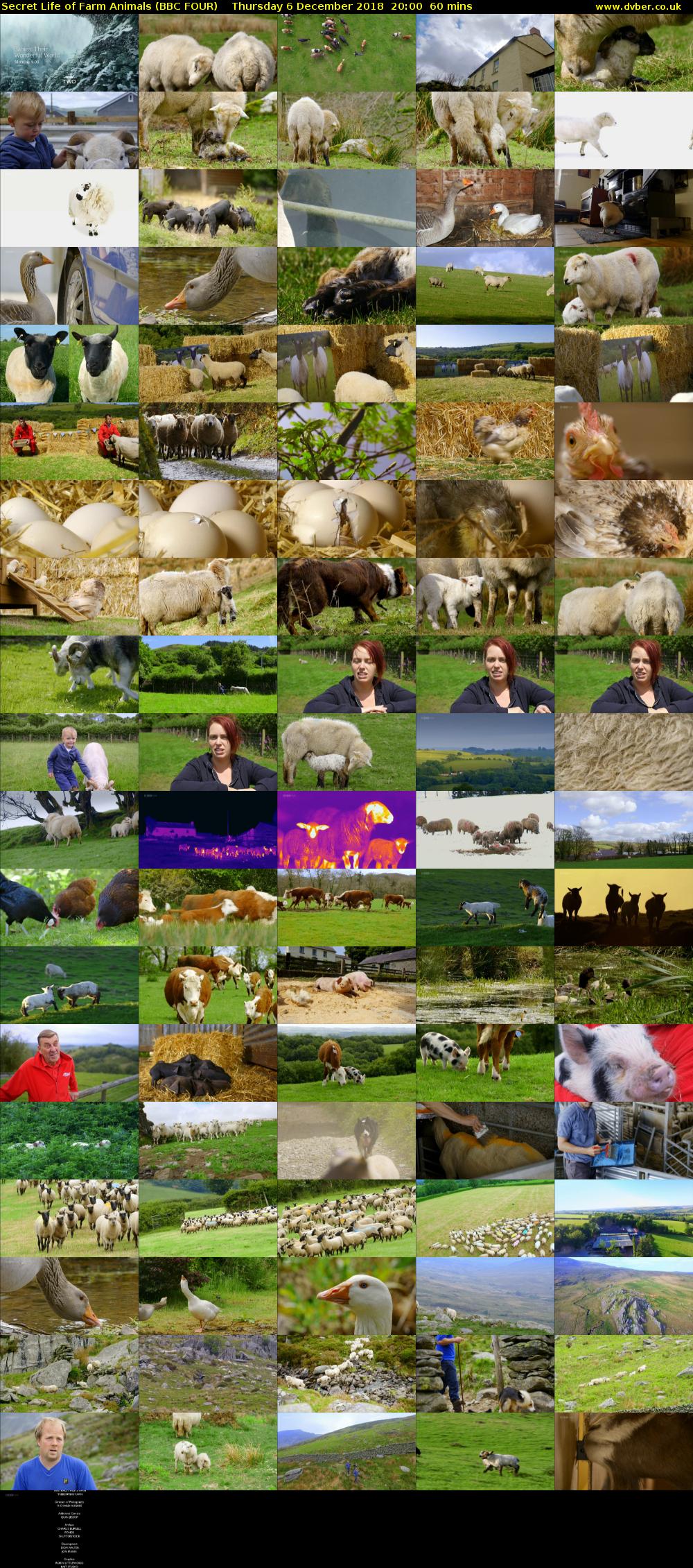 Secret Life of Farm Animals (BBC FOUR) Thursday 6 December 2018 20:00 - 21:00