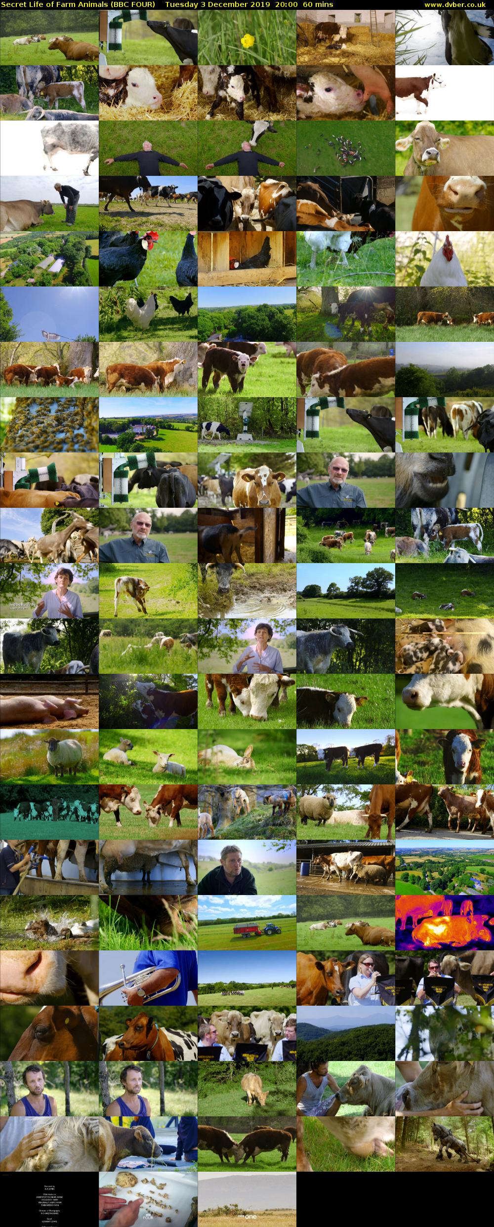 Secret Life of Farm Animals (BBC FOUR) Tuesday 3 December 2019 20:00 - 21:00