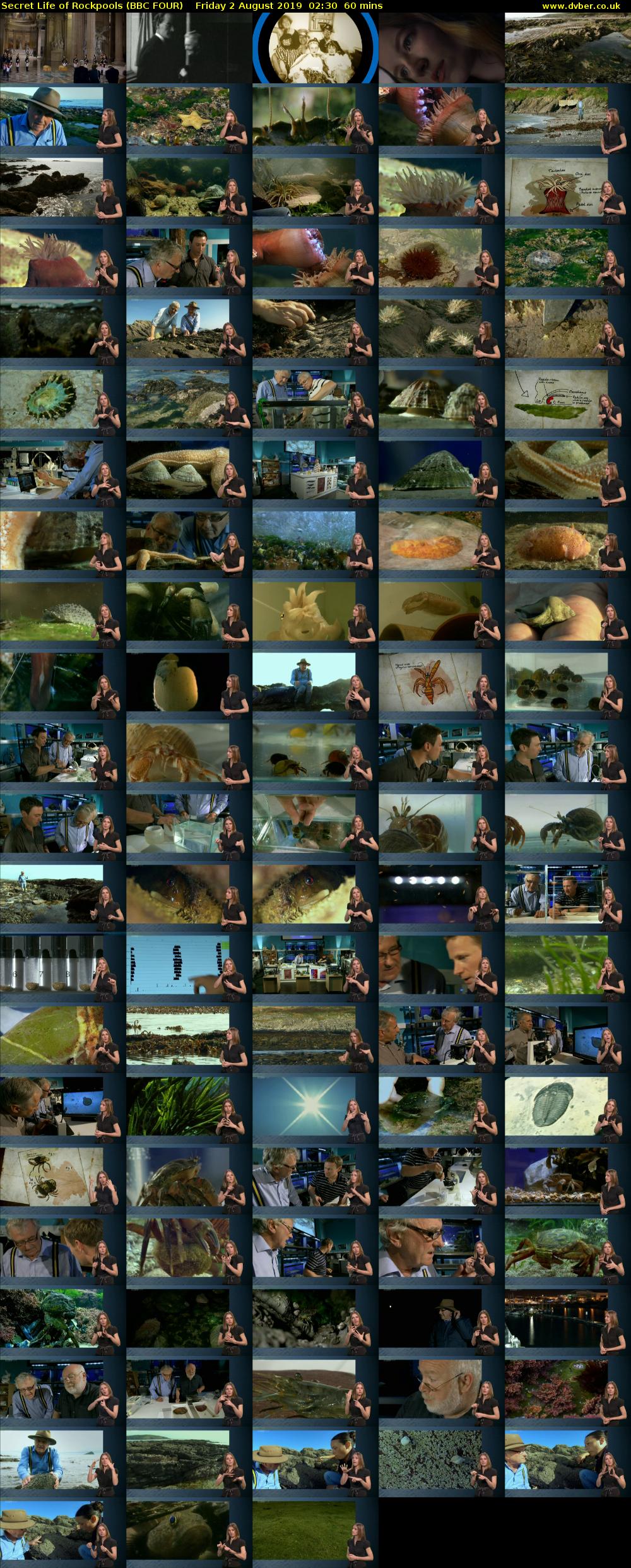 Secret Life of Rockpools (BBC FOUR) Friday 2 August 2019 02:30 - 03:30