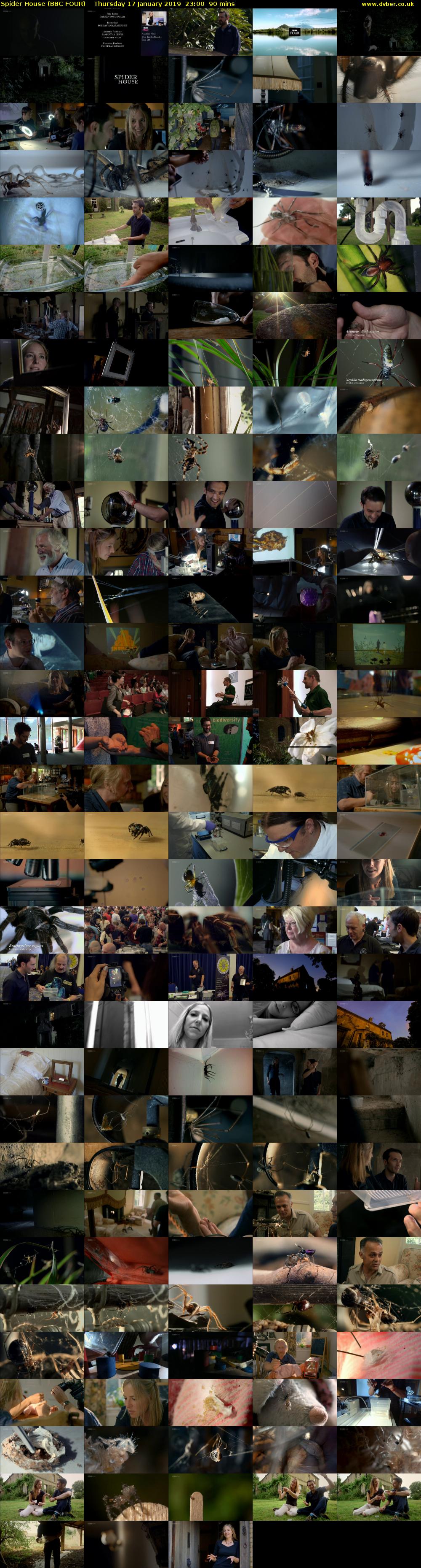 Spider House (BBC FOUR) Thursday 17 January 2019 23:00 - 00:30