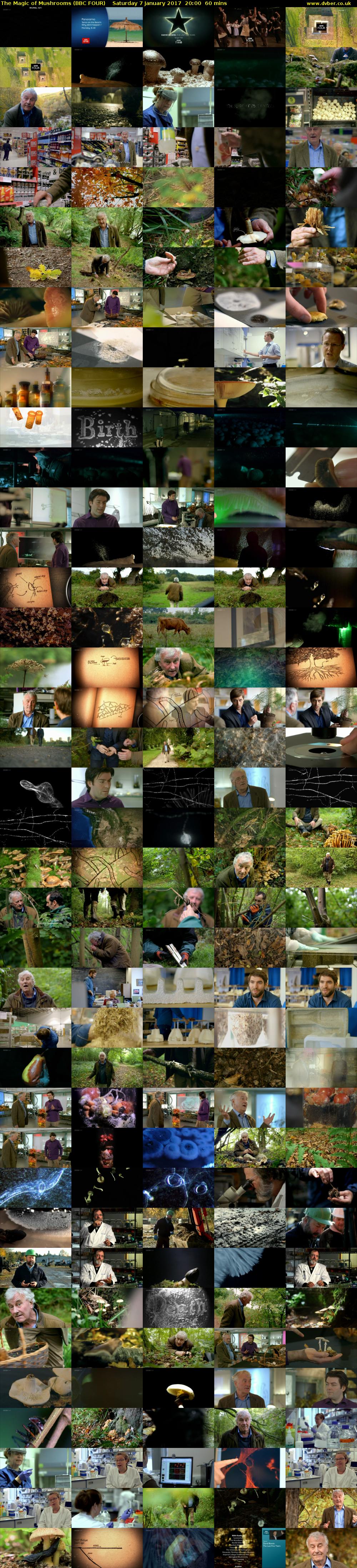 The Magic of Mushrooms (BBC FOUR) Saturday 7 January 2017 20:00 - 21:00