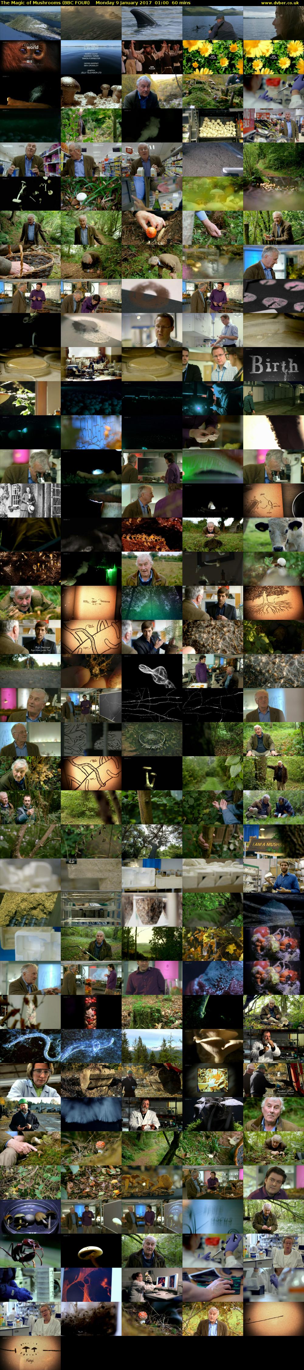 The Magic of Mushrooms (BBC FOUR) Monday 9 January 2017 01:00 - 02:00