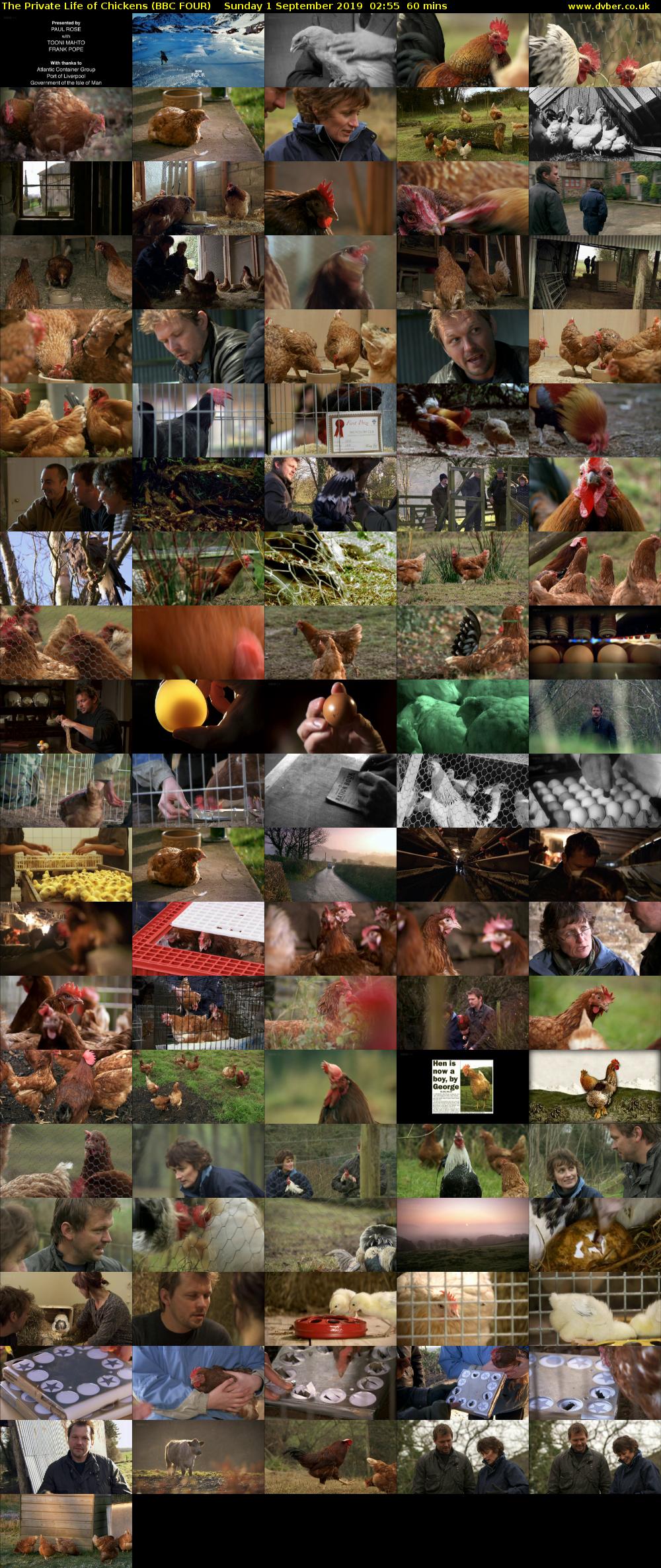 The Private Life of Chickens (BBC FOUR) Sunday 1 September 2019 02:55 - 03:55