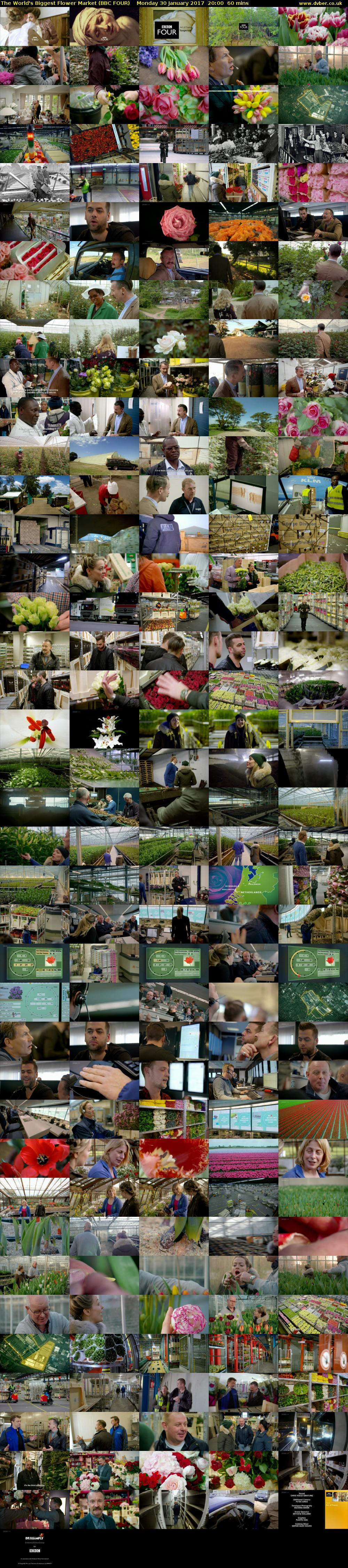 The World's Biggest Flower Market (BBC FOUR) Monday 30 January 2017 20:00 - 21:00