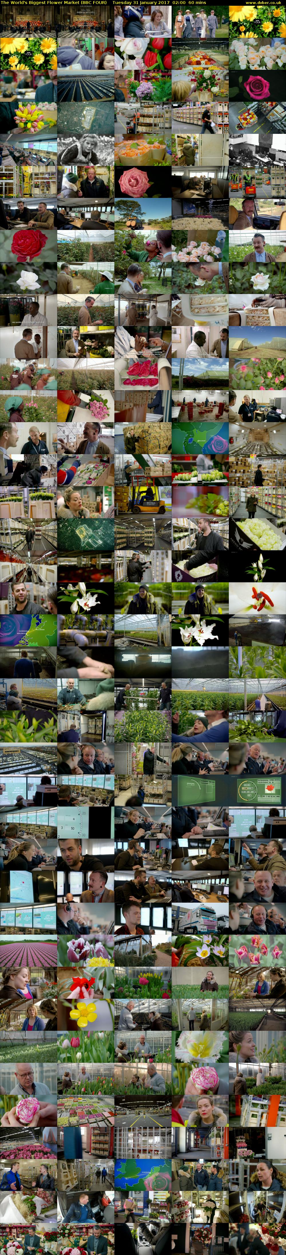 The World's Biggest Flower Market (BBC FOUR) Tuesday 31 January 2017 02:00 - 03:00