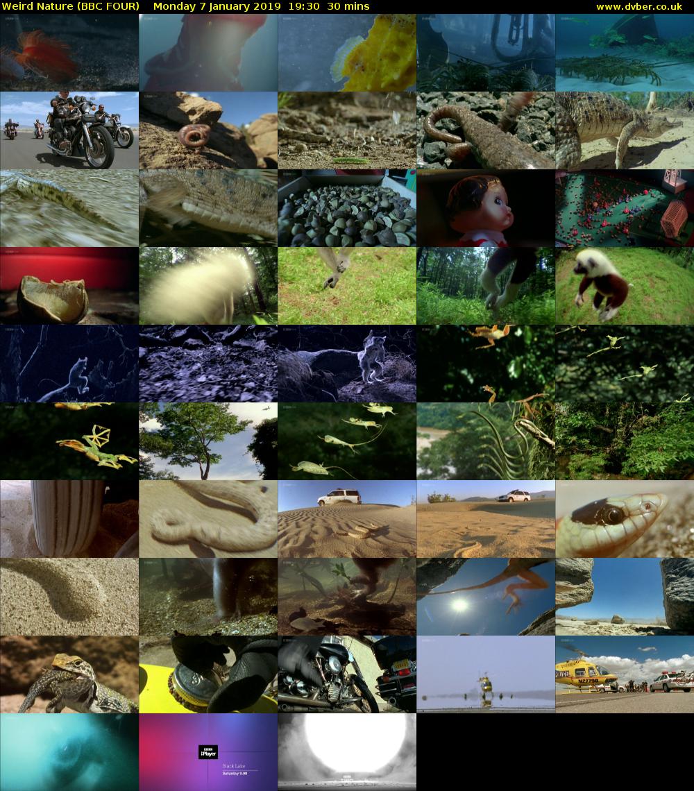 Weird Nature (BBC FOUR) Monday 7 January 2019 19:30 - 20:00