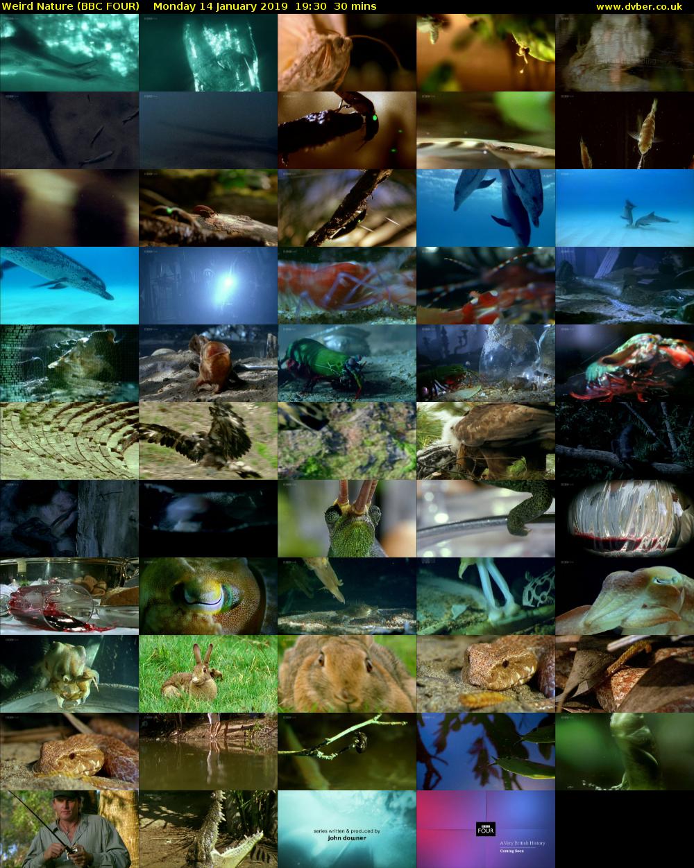 Weird Nature (BBC FOUR) Monday 14 January 2019 19:30 - 20:00