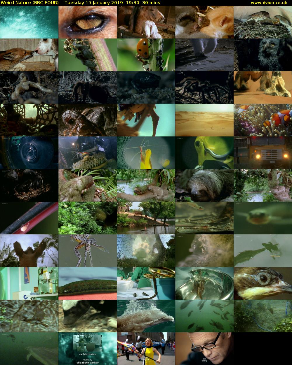 Weird Nature (BBC FOUR) Tuesday 15 January 2019 19:30 - 20:00