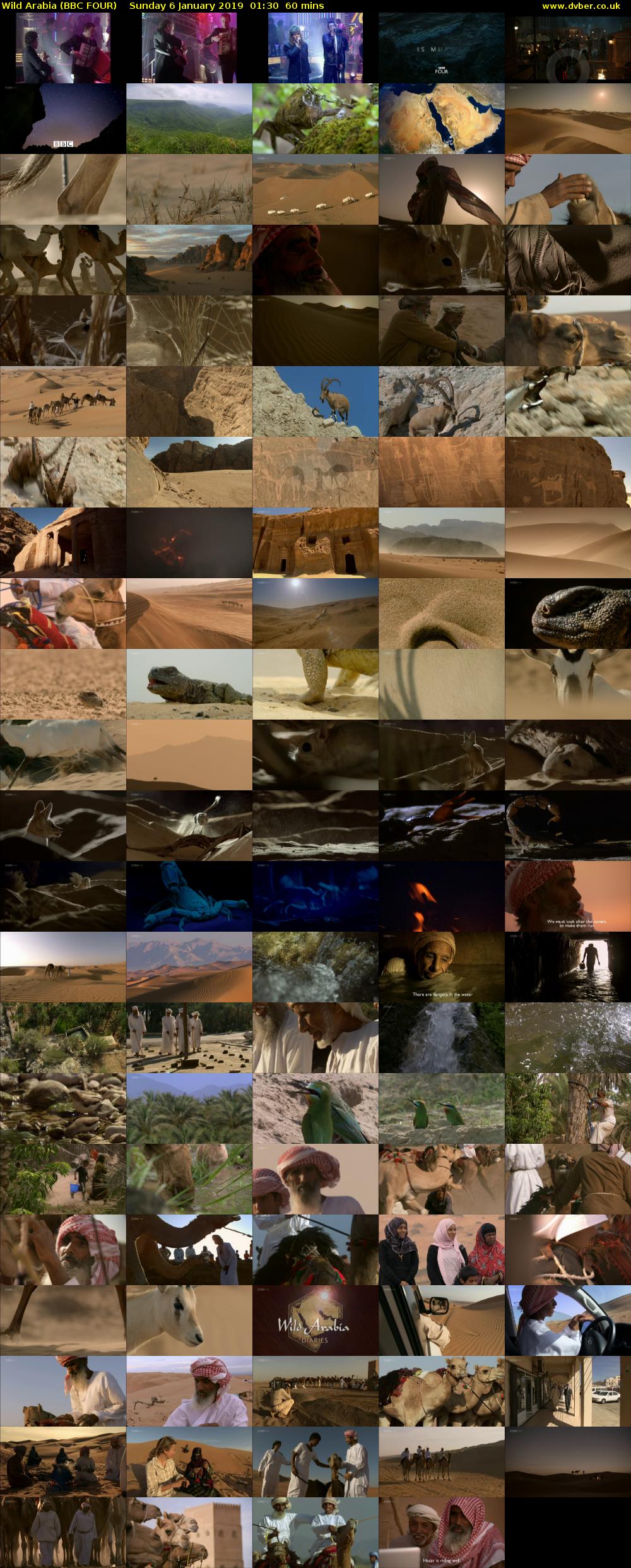 Wild Arabia (BBC FOUR) Sunday 6 January 2019 01:30 - 02:30