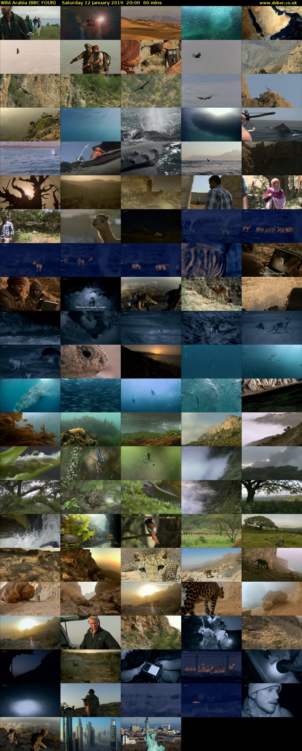 Wild Arabia (BBC FOUR) Saturday 12 January 2019 20:00 - 21:00