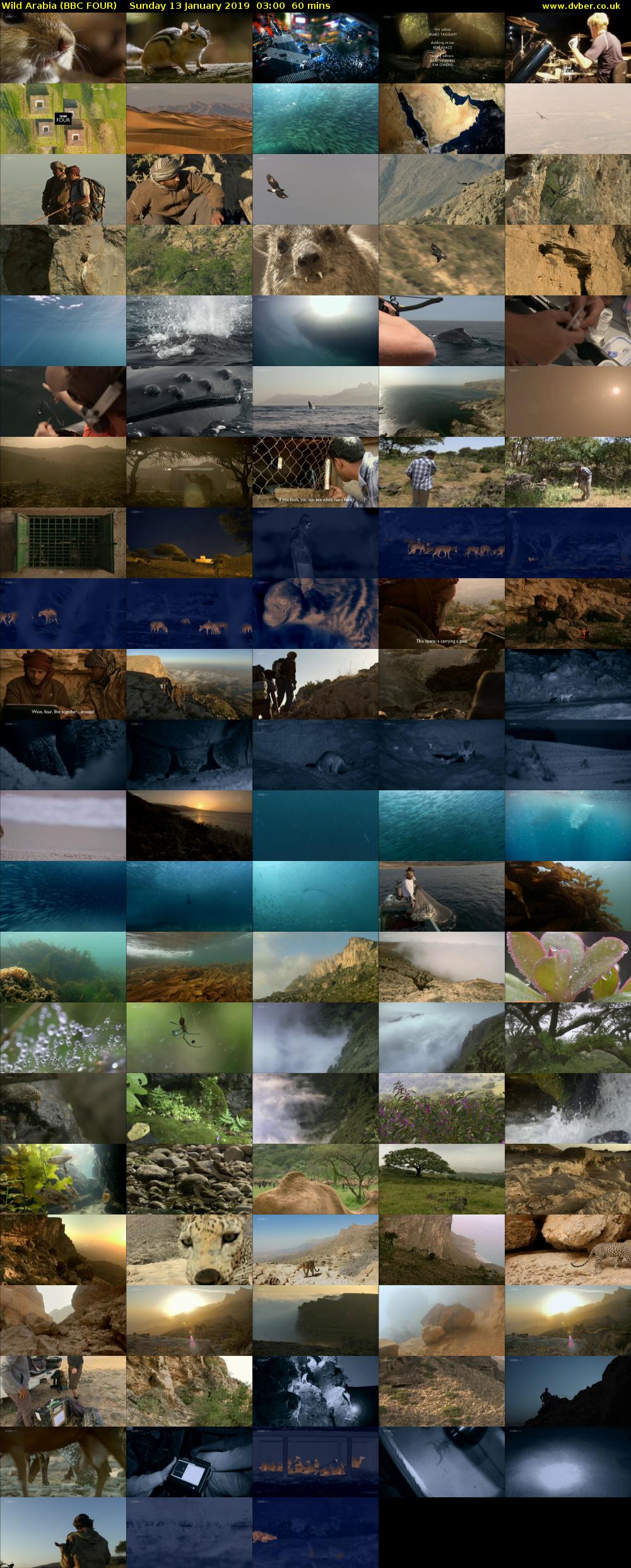 Wild Arabia (BBC FOUR) Sunday 13 January 2019 03:00 - 04:00