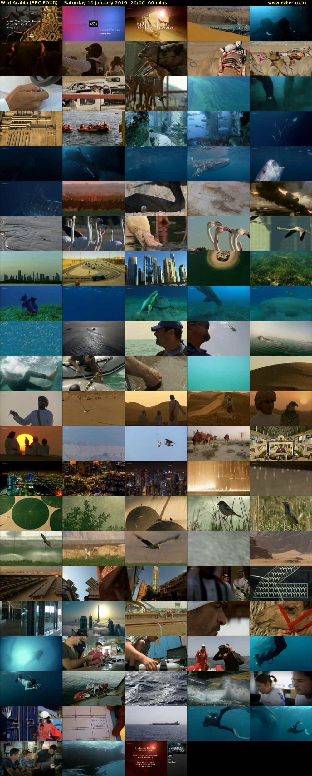 Wild Arabia (BBC FOUR) Saturday 19 January 2019 20:00 - 21:00