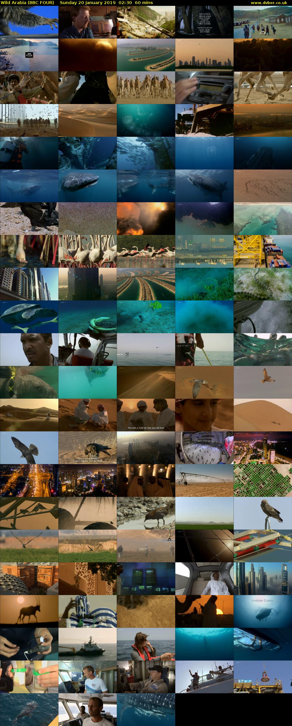 Wild Arabia (BBC FOUR) Sunday 20 January 2019 02:30 - 03:30