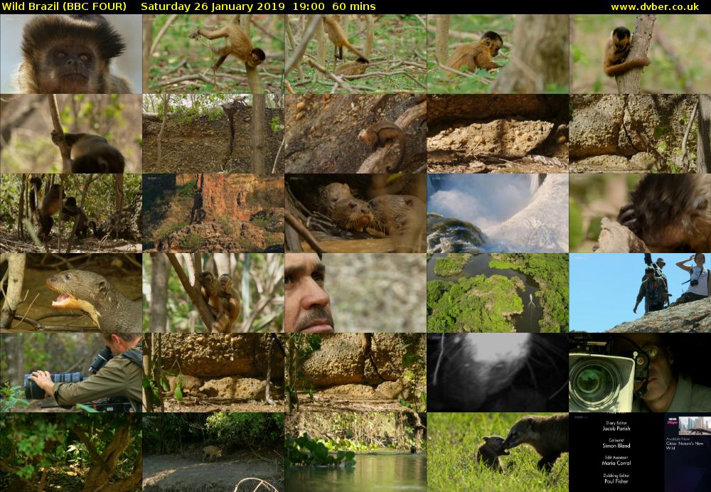 Wild Brazil (BBC FOUR) Saturday 26 January 2019 19:00 - 20:00