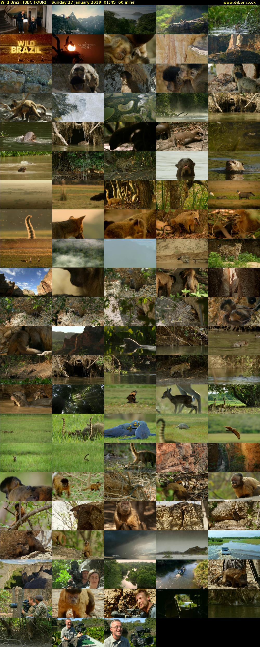 Wild Brazil (BBC FOUR) Sunday 27 January 2019 01:45 - 02:45