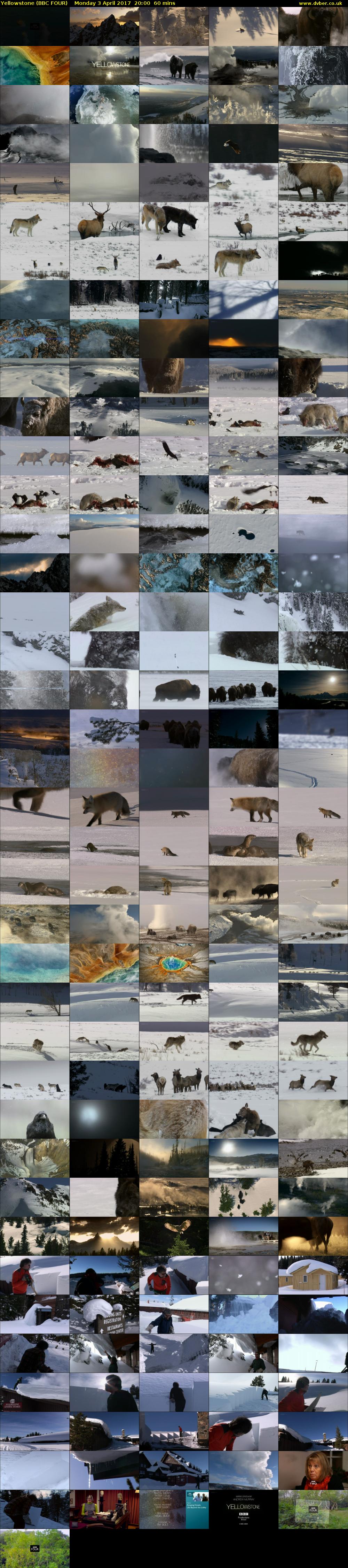 Yellowstone (BBC FOUR) Monday 3 April 2017 20:00 - 21:00