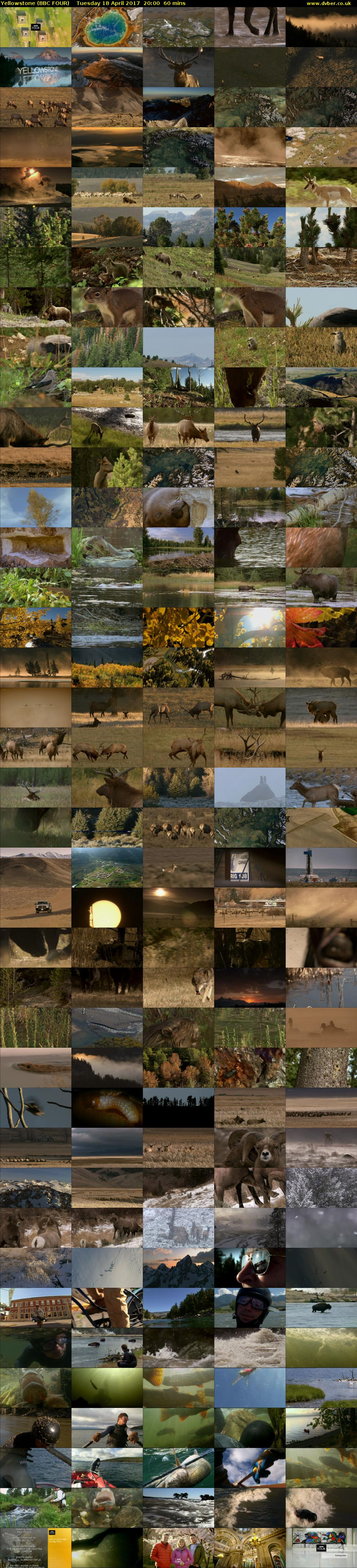 Yellowstone (BBC FOUR) Tuesday 18 April 2017 20:00 - 21:00