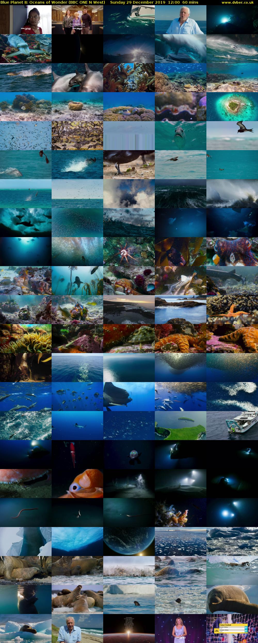 Blue Planet II: Oceans of Wonder (BBC ONE N West) Sunday 29 December 2019 12:00 - 13:00