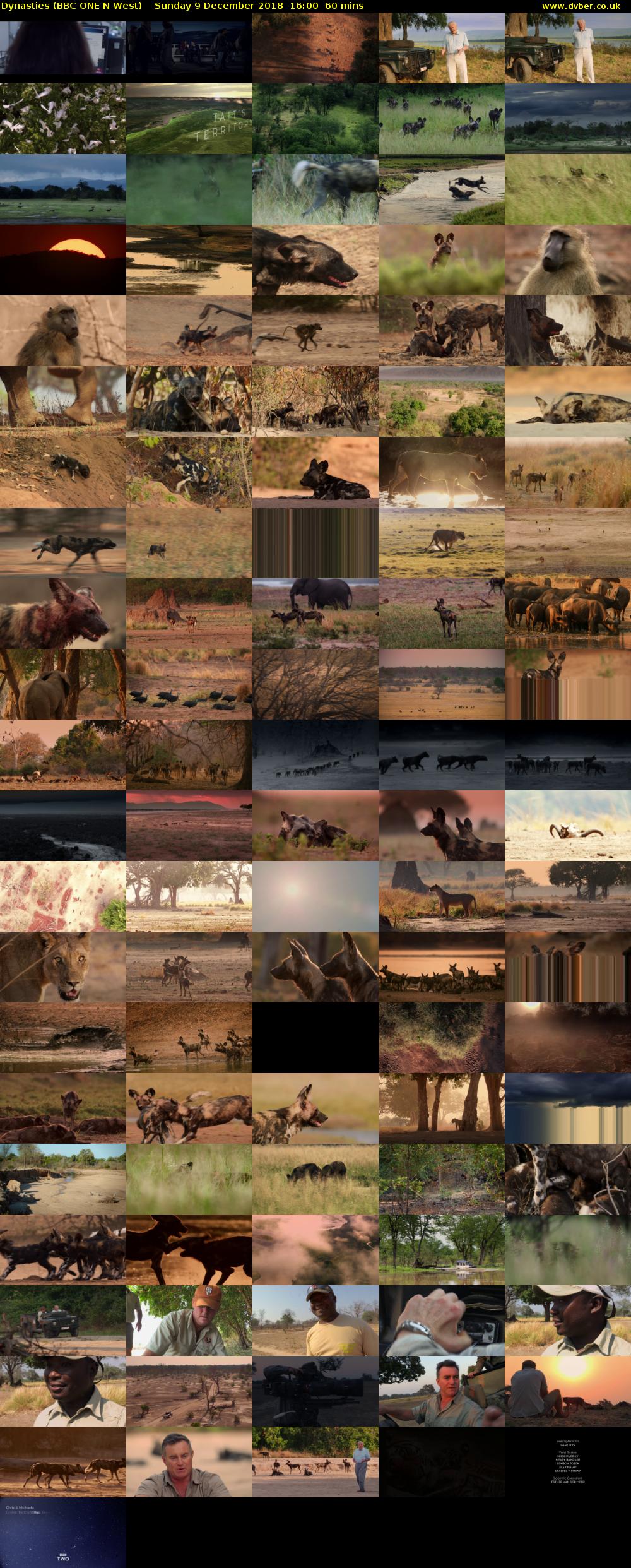 Dynasties (BBC ONE N West) Sunday 9 December 2018 16:00 - 17:00