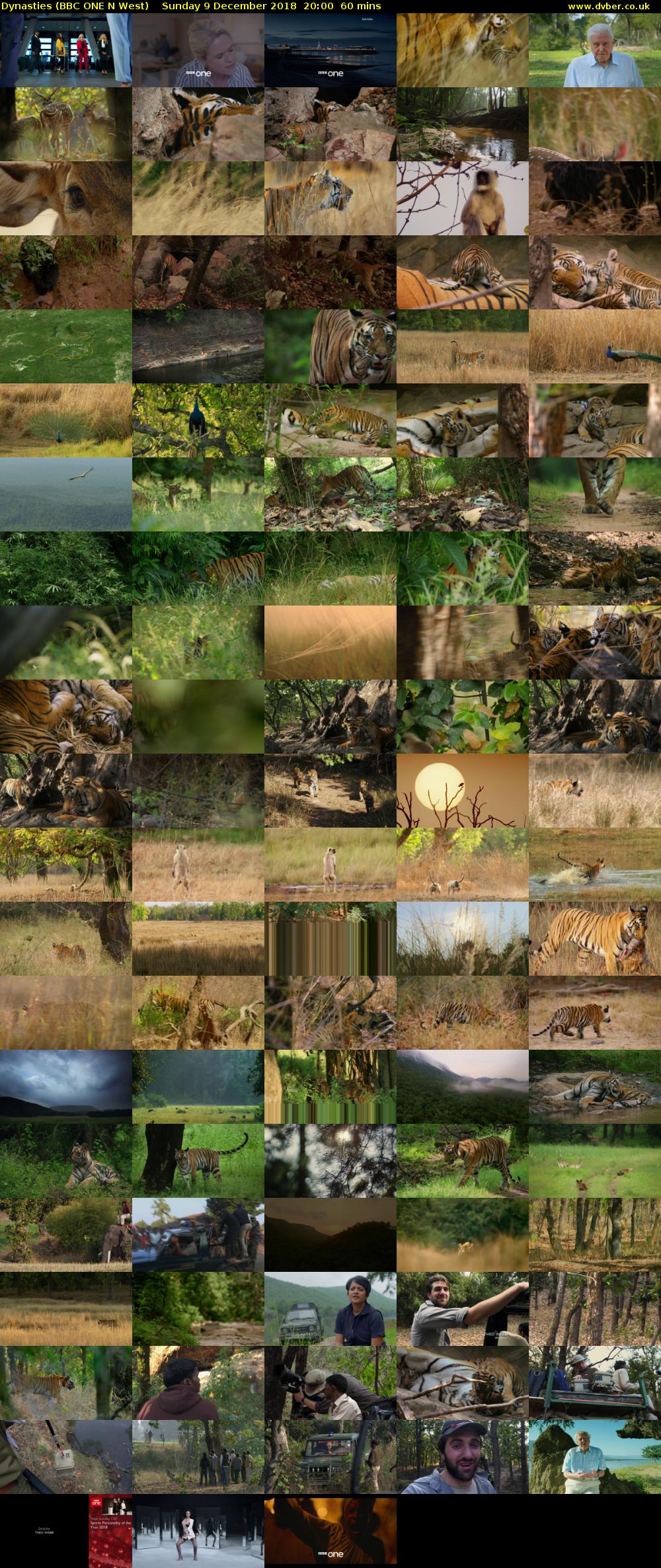 Dynasties (BBC ONE N West) Sunday 9 December 2018 20:00 - 21:00