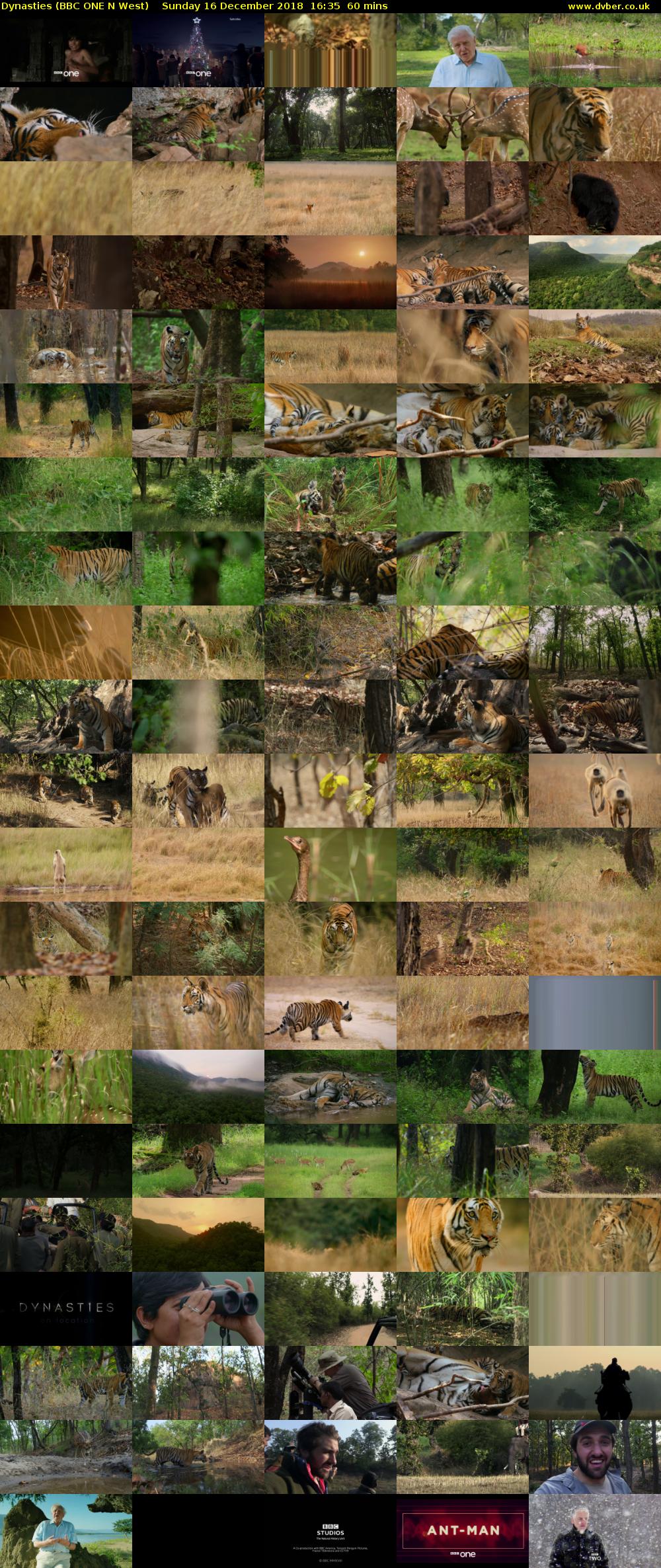 Dynasties (BBC ONE N West) Sunday 16 December 2018 16:35 - 17:35