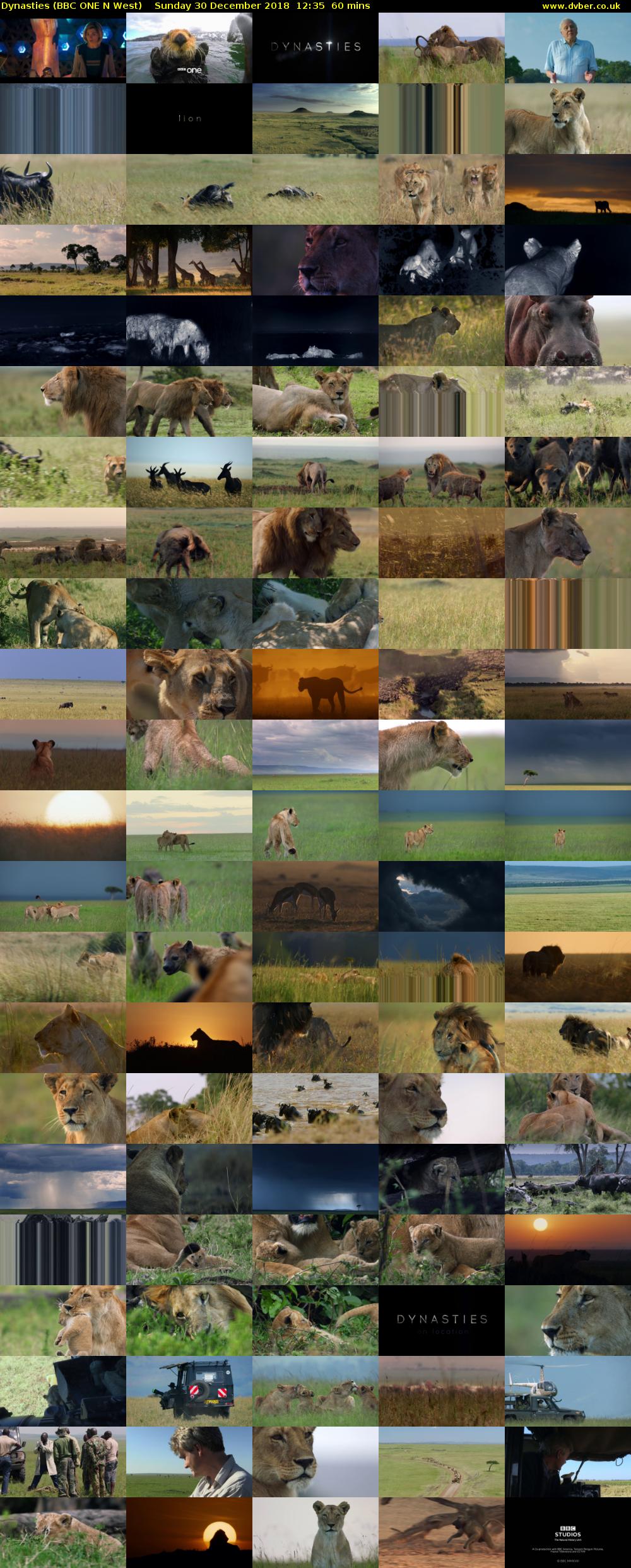 Dynasties (BBC ONE N West) Sunday 30 December 2018 12:35 - 13:35