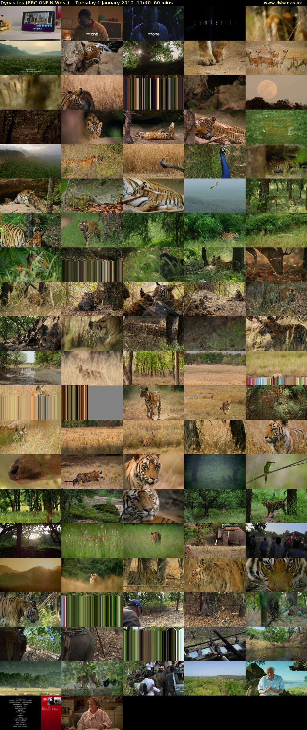 Dynasties (BBC ONE N West) Tuesday 1 January 2019 11:40 - 12:40