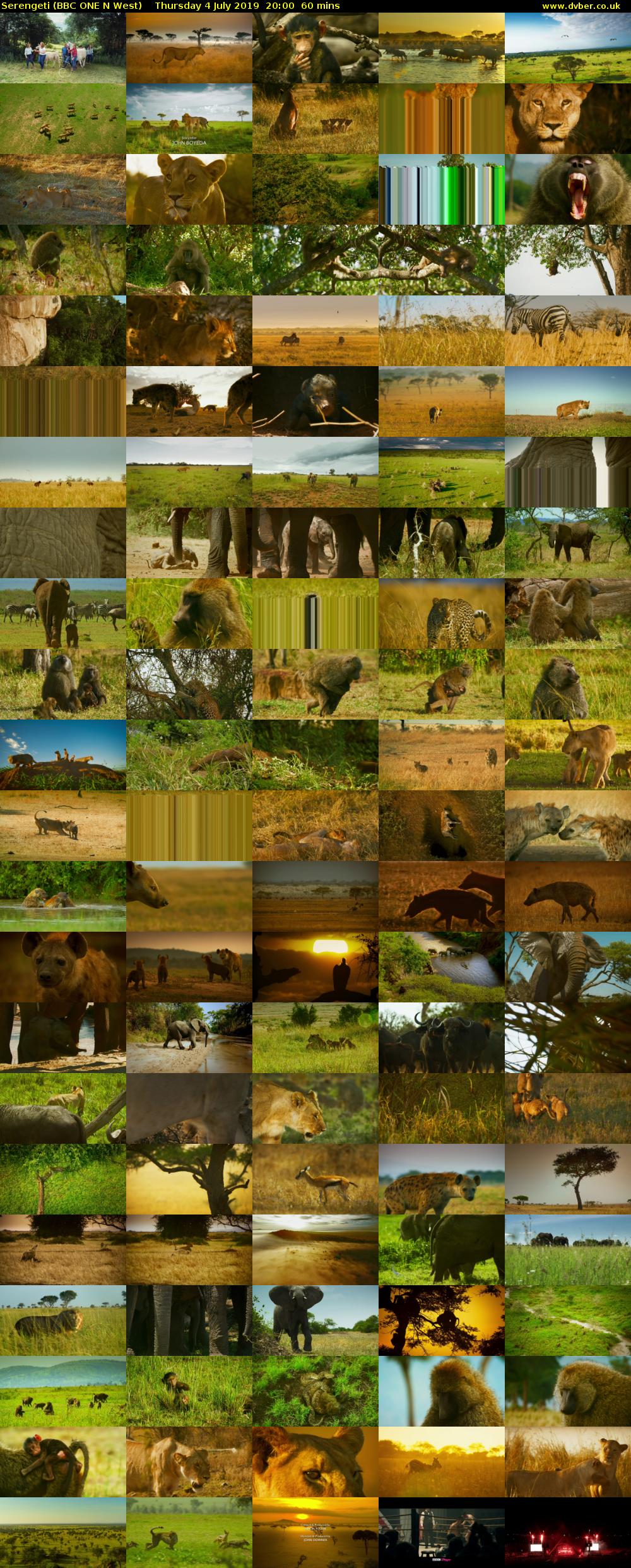 Serengeti (BBC ONE N West) Thursday 4 July 2019 20:00 - 21:00