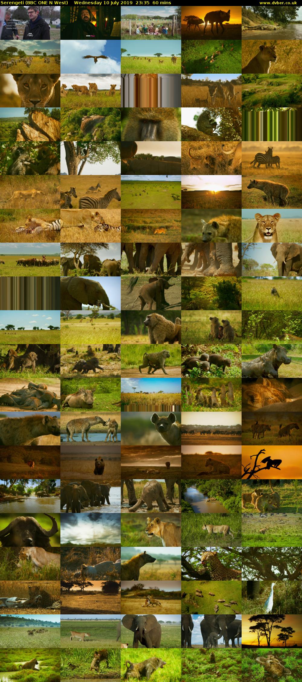 Serengeti (BBC ONE N West) Wednesday 10 July 2019 23:35 - 00:35